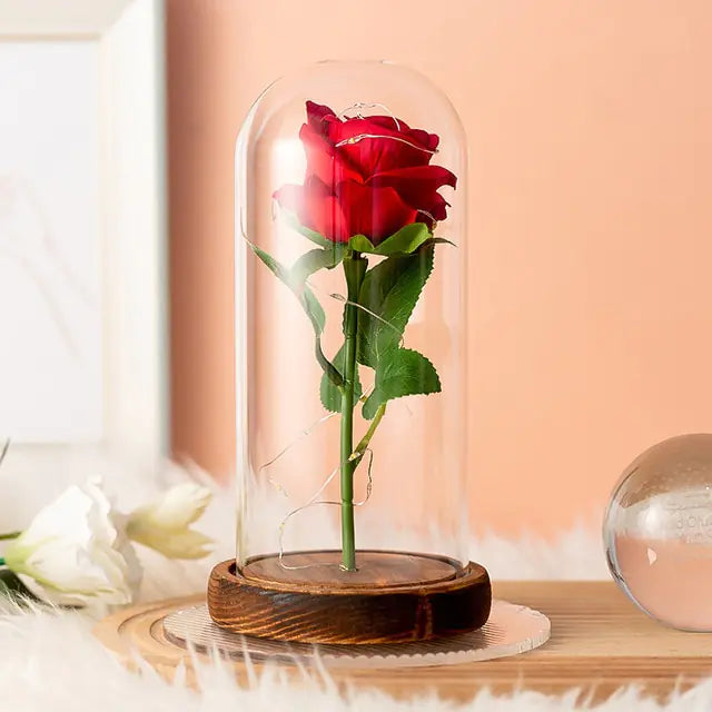 Eternal Rose Glass Dome with LED Lights