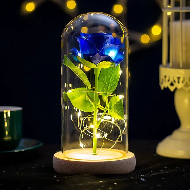 Eternal Rose Glass Dome with LED Lights