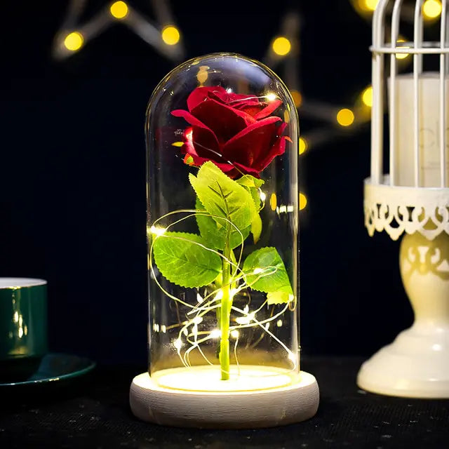 Eternal Rose Glass Dome with LED Lights