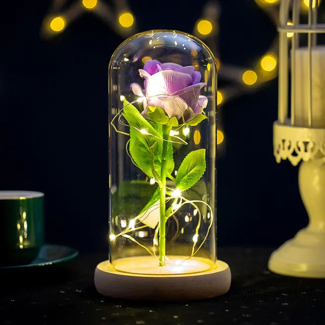 Eternal Rose Glass Dome with LED Lights