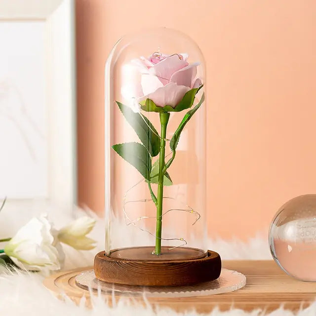 Eternal Rose Glass Dome with LED Lights