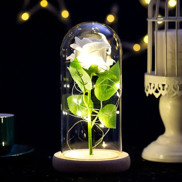 Eternal Rose Glass Dome with LED Lights