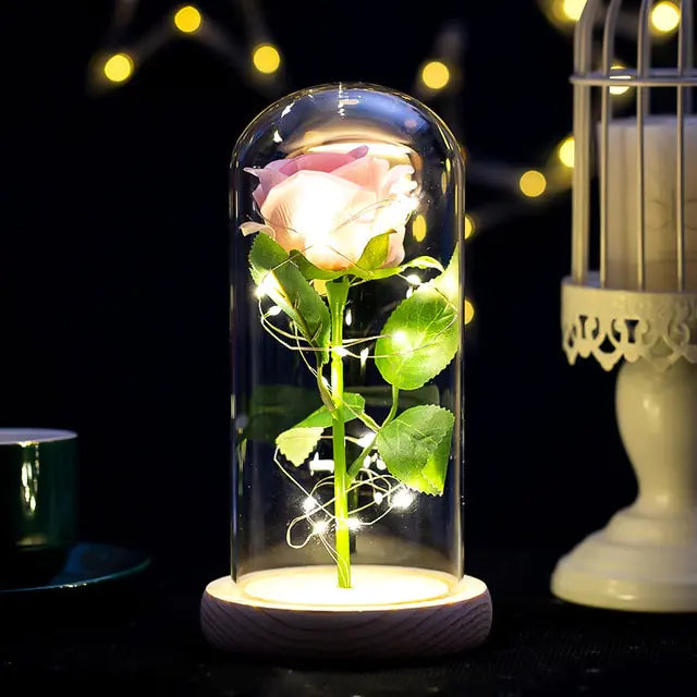 Eternal Rose Glass Dome with LED Lights