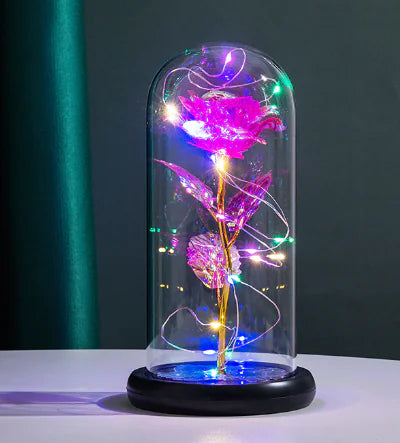 Eternal Rose Glass Dome with LED Lights